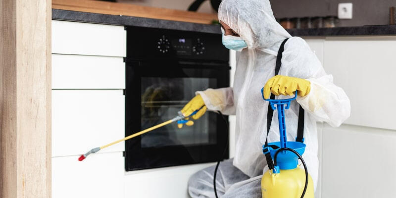Exterminator Brandon MS
